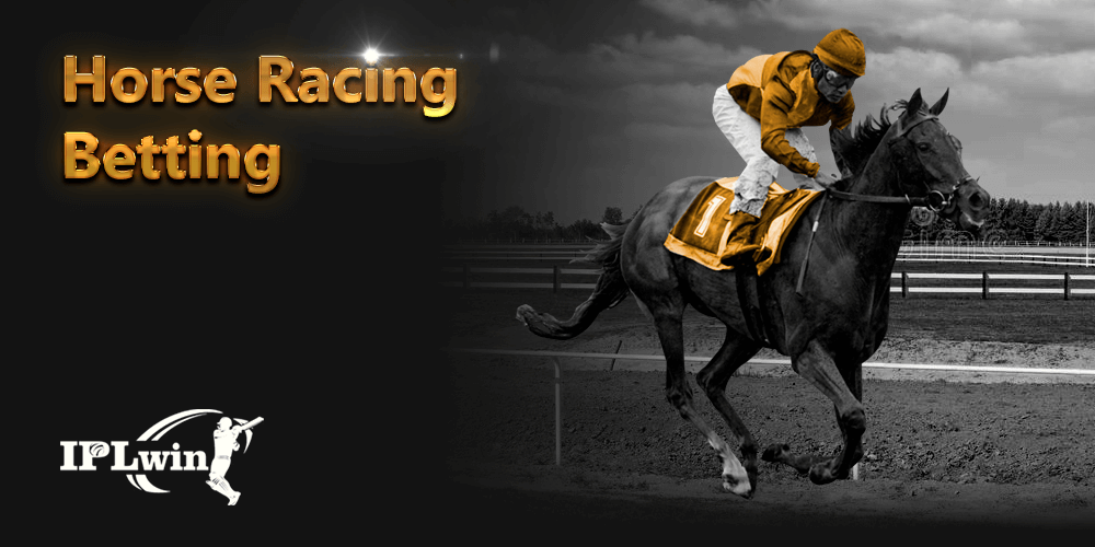811bet .com